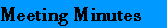 Meeting Minutes